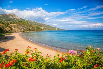 Photo sur Plexiglas Plage de Navagio, Zakynthos, Grèce Panorama of Porto Zorro beach against colorful flowers on Zakynthos island, Greece