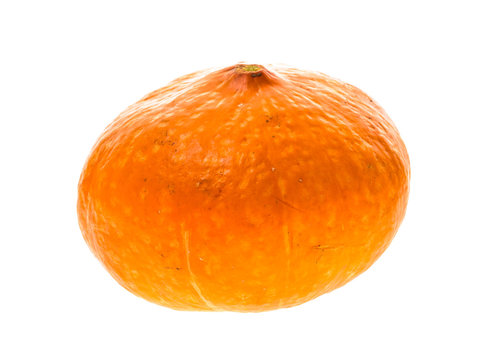 Red kuri squash - Orange Hokkaido pumpkin isolated on white