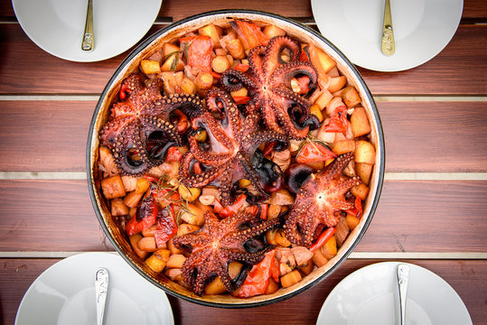 Preparing and Cooking of octopus in traditional Croatian peka Sa