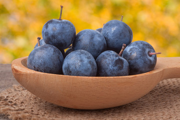 blackthorn berries in a wooden spoon on table with sacking and blurred background