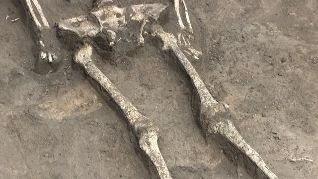 A Skeleton Of A Human Body Lying On A Ground At A Dig Site