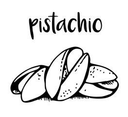 Pistachio isolated on white background, vector illustration