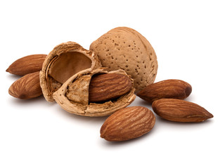 Almond nut in shell and shelled isolated on white background clo