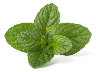 Fresh mint herb leaves isolated on white background cutout