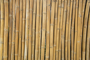 bamboo texture backgroung