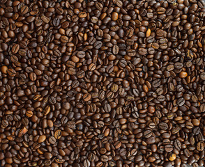 Coffee Beans