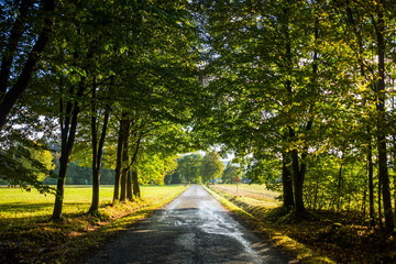 Countryside road, Czech Republic.