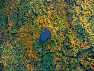 Aerial top view. Autumn  landscape. Wild forest lake.
