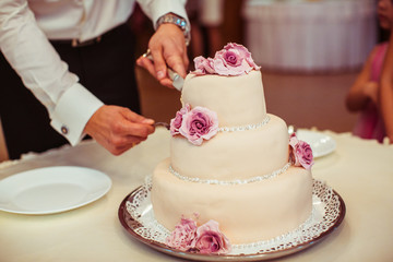 Groom cuts a weddign cake decorated with pastel glaze roses