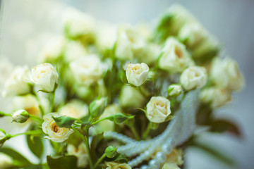 A closeup of white rose buds full of green leaves