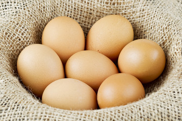 Hens free range eggs