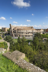 Fototapeta na wymiar Kolosseum, Amphitheatrum Novum, Amphitheatrum Flavium, Colosseo,