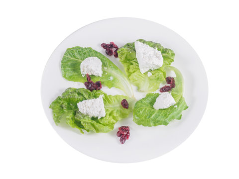 Home-made feta cheese on lettuce