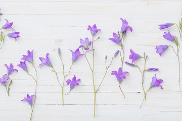 bluebell flowers om white wooden background