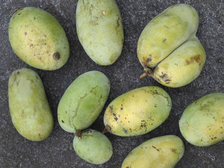 Indianerbananen-Ernte