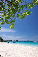 Beautiful tropical beach at Similan island,Thailand
