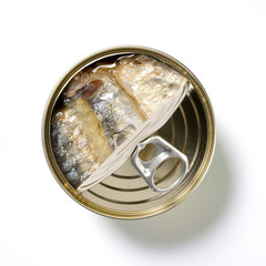 Can-fish-fish can-herring-canned fish