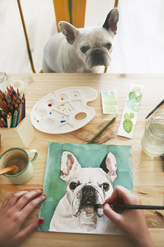 Hand's of artist painting an aquarelle of her French bulldog