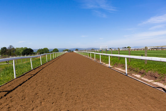 Race Horse Training Track 