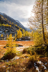 scorcio autunnale in alta montagna