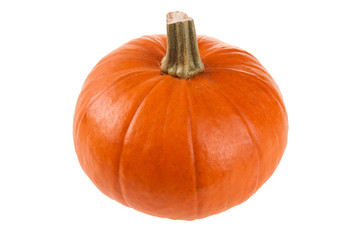 Kürbis freigestellt