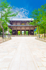 Nandaimon South Gate Todai-ji Path Blue Sky