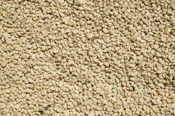 Sun drying coffee beans