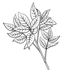 Tree branch cartoon style