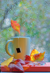 Tea cup at the window with  leaves and drops