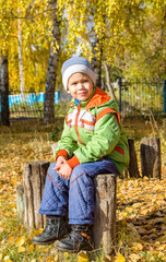 portrait of a boy five years old sitting on a stump in the autumn Park