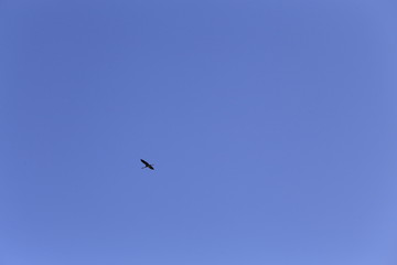 Abgeerntete Felder in Ostersode