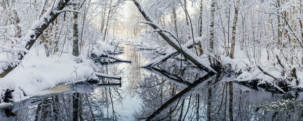 Dreamlike woodland and river by winter morning