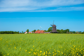 Blick zum Mühlen und Landwirtschaftsmuseum in Lemkenhafen