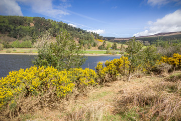 Parc national de wicklow