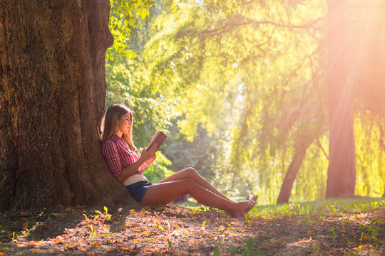 girl reading book at park in summer sunset light