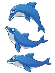 Dolphin cartoon