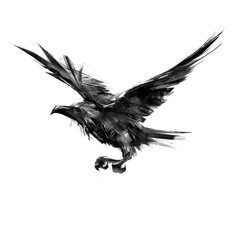 drawing black crow flying on a white background