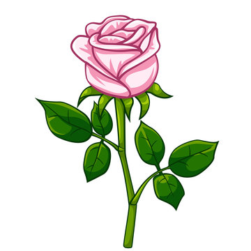 Pink rose cartoon style