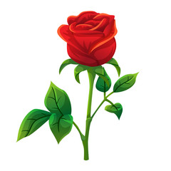 Red rose cartoon style - 123919108
