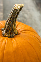 Pumpkin on rustic wooden table


