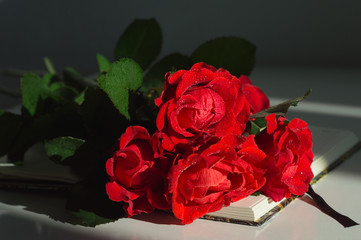 Bouquet of red roses on the notebook. Romantic still life for Valentine's day or Birthday greetings
