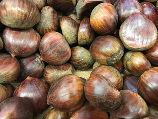 Close up of chestnuts