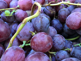 Close up of red grapes