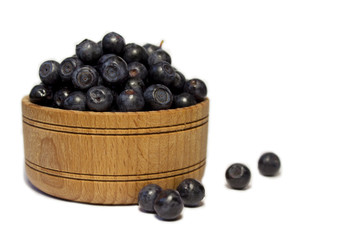 fresh bilberry