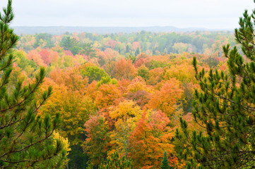 The High banks of the Ausable River in Autumn
