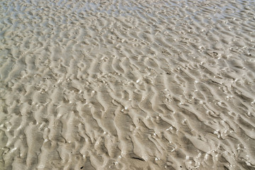 wet beach scenery