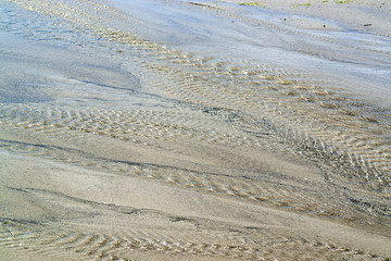 wet beach scenery