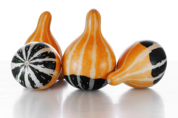 Close-up of small decorative pumpkins - 123925552