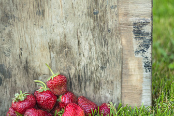 Red garden strawberry on a background of a wooden wall