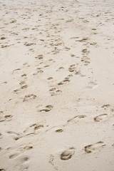 Way of human footprints on the beach sand